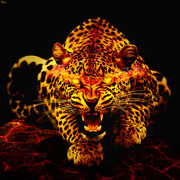 Animals, Fire, Leopard, To Fall, Mouth HD phone wallpaper