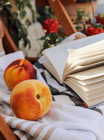 Food, Cloth, Fruit, Book, Peach, Page, Pages HD phone wallpaper