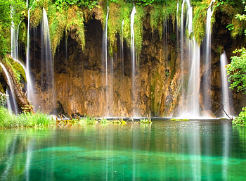Captivating waterfall, Dense jungle, Tropical paradise, Scenic wonder HD wallpaper