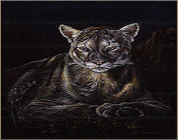 Night cougar, night, darkness, moonlight, cougar HD wallpaper