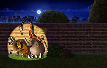 Madagascar - Hippopotamus, giraffe, zebra and lion, hippopotamus, animation, madagascar, giraffe, film, lion, zebra HD wallpaper
