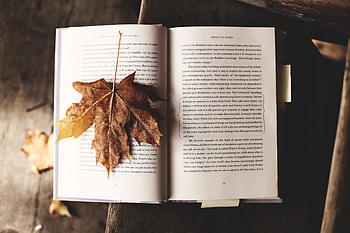 Autumn, Miscellanea, Miscellaneous, Sheet, Leaf, Book, Maple HD wallpaper