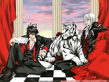 AKIRA and HITSUGANE, tiger, akira, mst, hndsme HD wallpaper