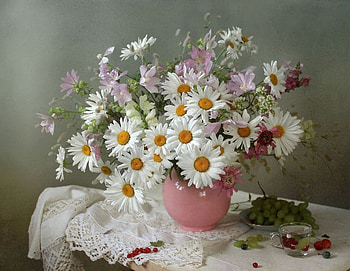 Bouquet of chamomile, S, Flowers, White, Bouquet, Spring HD wallpaper