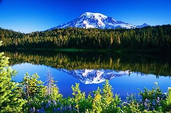 Mountain peak reflection, colorful, serenity, quiet, shore, reflection, tranquility, majestic, snowy, landscape, beautiful, mountain, nature, waters, sky, flowers, calmness, forest, peak, rees HD wallpaper