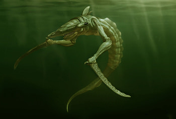 116 Sea Monster HD wallpaper