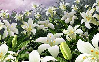 Artwork, Lilies HD wallpaper