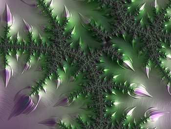 Abstract, Leaves, Patterns, Fractal HD wallpaper