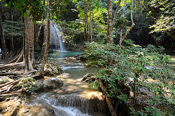 Nature, Rivers, Trees, Stones, Bush, Waterfall, Vegetation, Flow, Shadow, Roots, Jet, Jets HD wallpaper