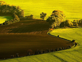 Spring Fields, trees, fields, patch, land HD wallpaper
