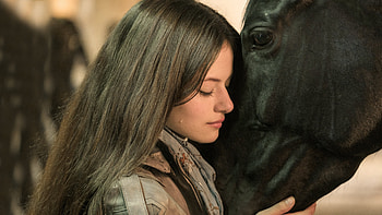 Black Beauty movie, Breathtaking landscapes, Majestic horse, Stunning visuals HD wallpaper