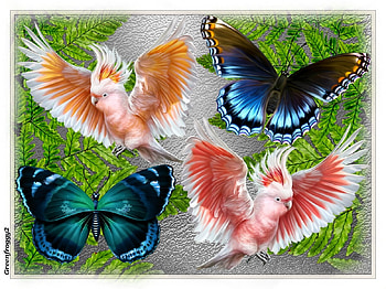 BIRDS AND BUTTERFLES COLLAGE, BIRDS, COLLAGE, ABSTRACT, BUTTERFLIES HD wallpaper