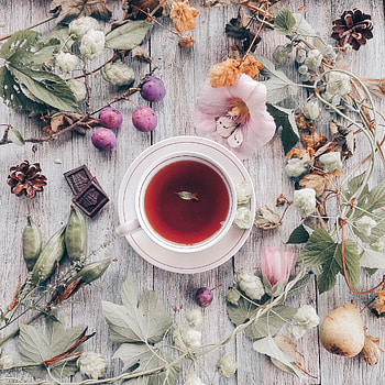 Flowers, Food, Chocolate, Wood, Wooden, Cup, Tea HD phone wallpaper