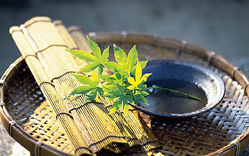 Background, Still Life HD wallpaper
