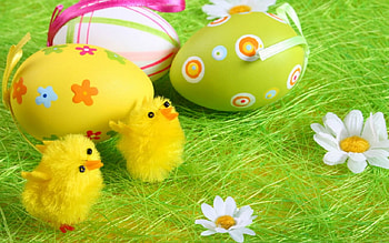 Easter Eggs, chicks, Easter, eggs, flower HD wallpaper