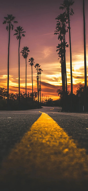 California, City sunset , Beautiful skyline colors, Urban beauty HD phone wallpaper