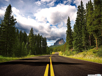Landscape, Trees, Sky, Roads, Clouds HD wallpaper