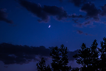 Trees, Sky, Night, Clouds, Moon, Dark HD wallpaper