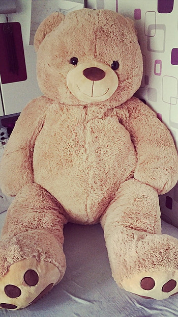 Teddy Bear Ke, Huge Teddy Bear, huge, teddy bear HD phone wallpaper