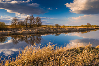 Reflection, nature, tree, lake HD wallpaper