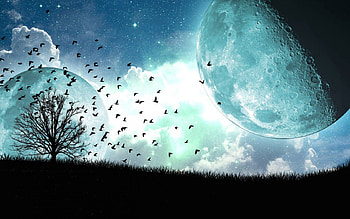 Birds, Art, Moon, Wood, Tree, Flight, Satellite HD wallpaper