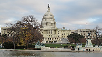 Preview washington, dc, building, tree HD wallpaper