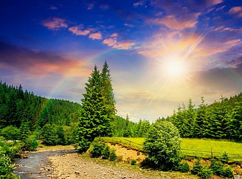 Dazzling sun and rainbow over mountain, sunshine, rays, sunlight, path, dazzling, beautiful, mountain, summer, rainbow, field, trees, sky, sun HD wallpaper
