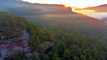 Three Giants, Palatinate Forest, Germany, rocks, morning, fog, landscape, trees, sky, sunrise HD wallpaper