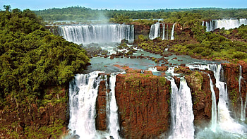 iguazu falls, jungle, forest, moss, argentina, trees, rocks HD wallpaper