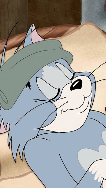 Tom And Jerry, Tom Sleeping HD phone wallpaper