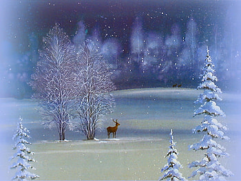 Winter forest, winter, deer, snow, cold, trees, evening HD wallpaper