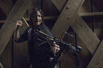 The Walking Dead - Daryl Dixon with Crossbow, TV Show, The Walking Dead, Daryl Dixon, Norman Reedus HD wallpaper