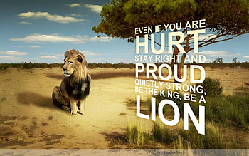 Lion, animal, jungle, hunt HD wallpaper