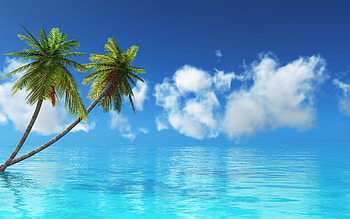 Tropical island, Blue sea, Summer, Palm trees, Clouds HD wallpaper
