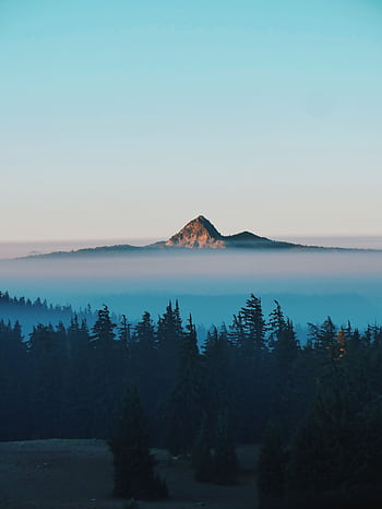 Serene misty mountain peak with forest and pastel sky at sunrise, ideal for nature lovers. HD phone wallpaper