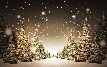 Landscape, Winter, Trees, Art, Roads, Snow, Fir-Trees HD wallpaper