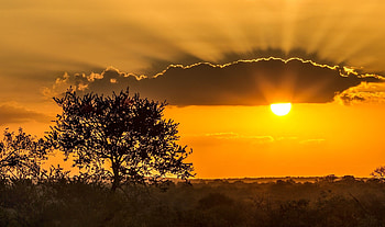 Kruger sunset views, Viagens ferias, National park beauty, Unforgettable moments HD wallpaper