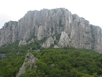 Vratza's mountain, green, bulgaria, trees, , rocks, mountain HD wallpaper