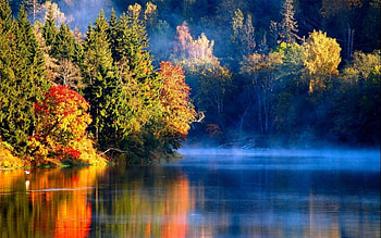 Colorful Nature, colorful, reflection, trees, nature, water HD wallpaper