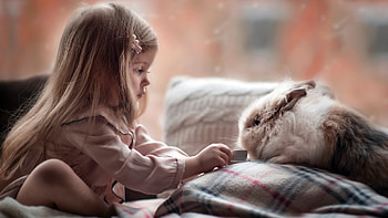 Cute girl Playing with Rabbit HD wallpaper
