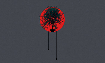 Art, Plant, Wood, Tree, Circle, Pot HD wallpaper