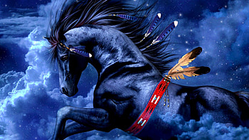 appaloosa horse amazing | | Pinterest | Horse and HD wallpaper