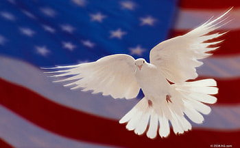 Flag and Dove, usaf, usmc, usn, usa HD wallpaper