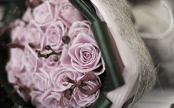 Flowers, Roses, Blur, Smooth, Branch, Bouquet HD wallpaper