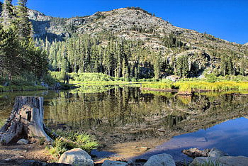 Lily Lake, california, canon, reflections, beauty, scenery, reflection, mountains, water, sierranevada, landscape, r, beautiful, lake, mountain, lakes, nature, forest HD wallpaper