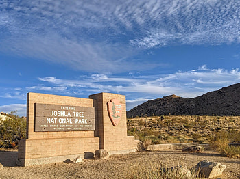 Joshua Tree National Park, Vibrant landscapes, Scenic beauty, Iconic desert views HD wallpaper