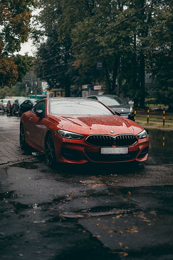 Stylish red BMW coupe parked on a wet street surrounded by trees. HD phone wallpaper