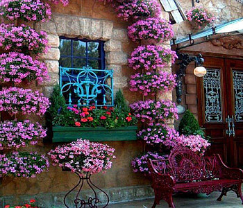 dream home, purple, pink, graphy, flowers, houses, beauty HD wallpaper