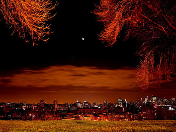Night City, night, color, city, clouds, trees, sky HD wallpaper