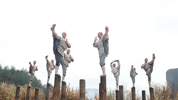 Kung Fu , Artistic portrayal, Dynamic movements, Strength and grace HD wallpaper